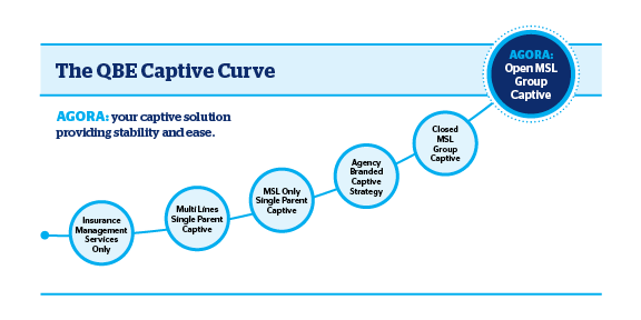 The QBE Captive Curve
